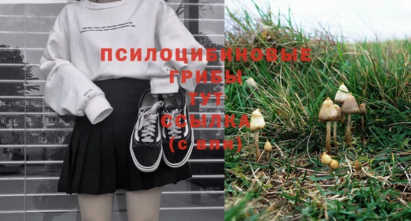 молекула духа Новокубанск