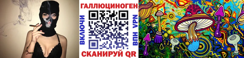 сколько стоит Оленегорск Псилоцибиновые грибы Psilocybine cubensis